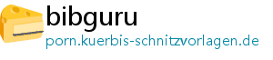 bibguru